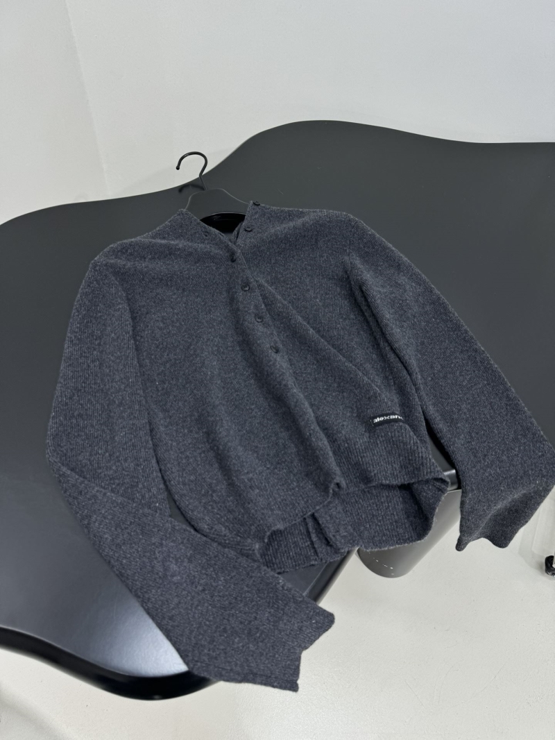 A1exa*der wang sweater